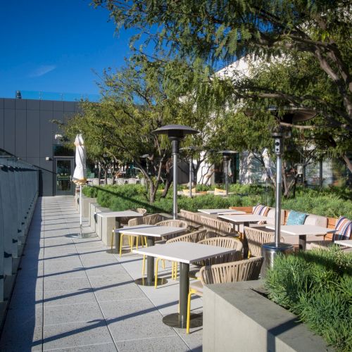 A sunny sidewalk scene with trees, a fence on the left, and a person walking along the path; bright, inviting outdoor setting.