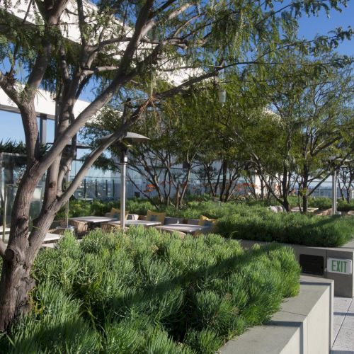 A small tree-lined street with a bench, greenery, and a light pole under a sunny sky.