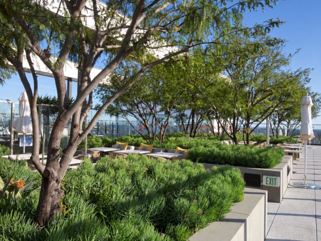 Rooftop patio with lush greenery, tables, umbrellas, and an EXIT door along a sunny walkway.