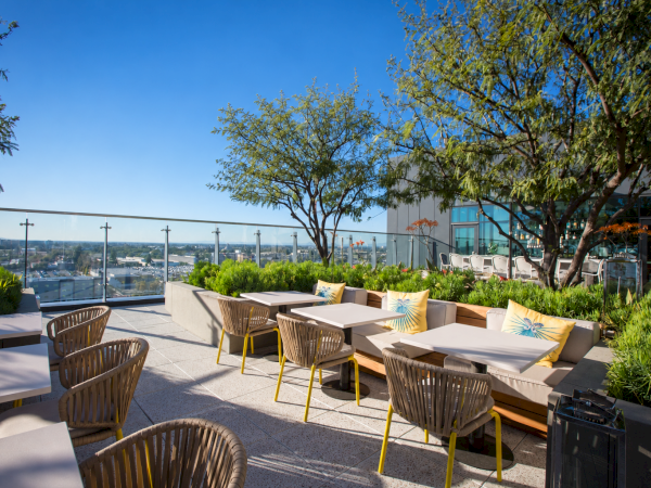A sunny rooftop patio with cushioned seating, square tables, potted plants, trees, and a distant city skyline beyond the glass railing.